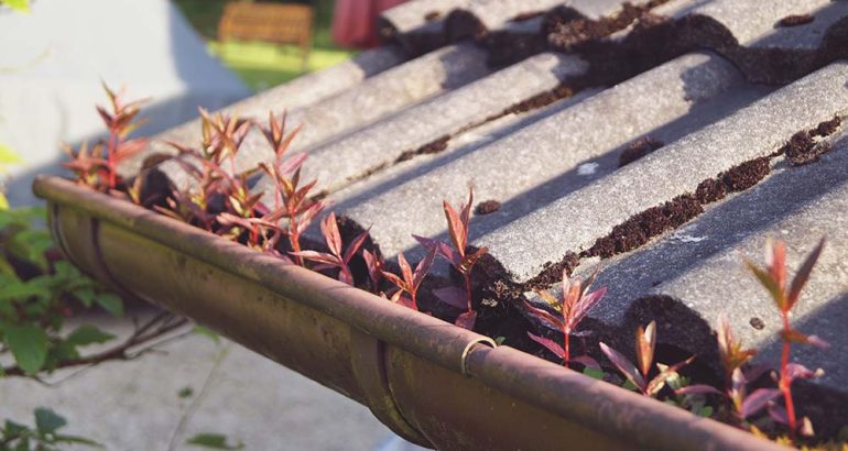 The Best Tools for Cleaning Your Gutters Like a Professional