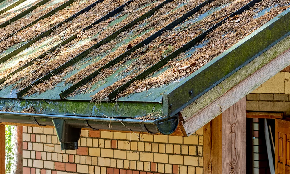 gutter cleaning Brisbane