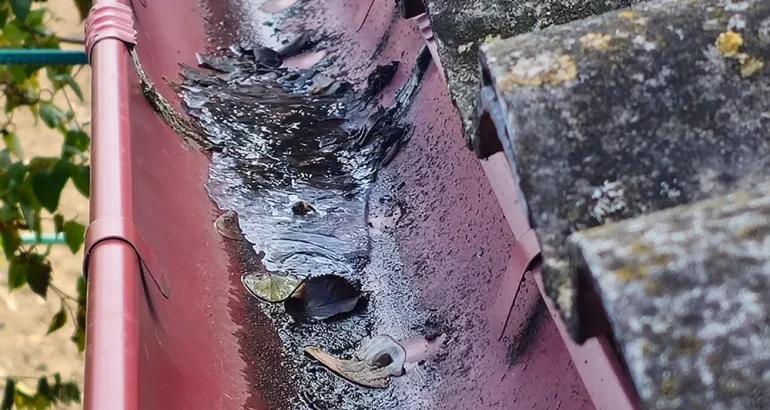 gutter cleaning near me