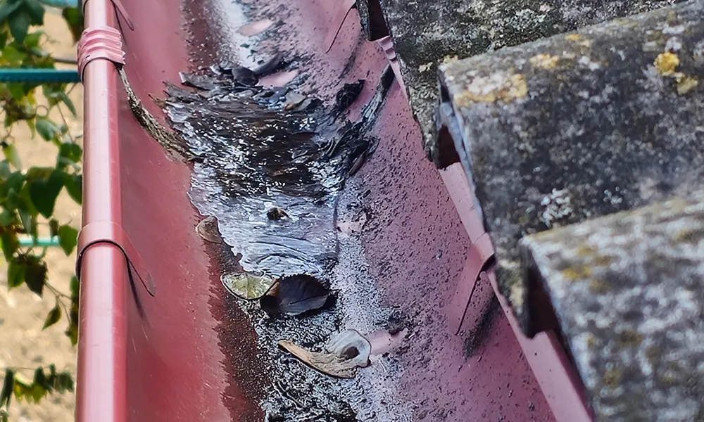 gutter cleaning near me