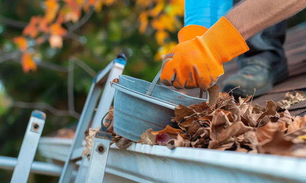 gutter cleaning service