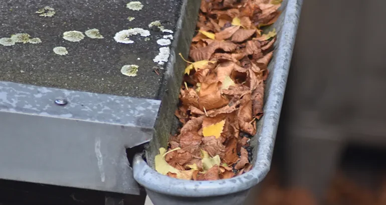 gutter cleaning services near me