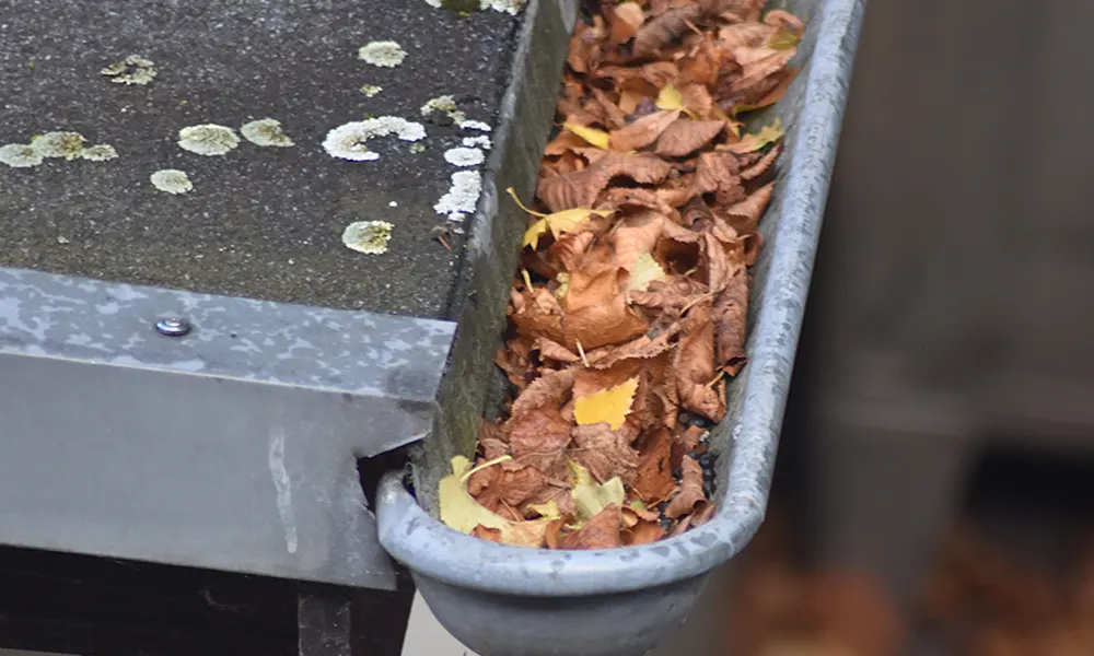 gutter cleaning services near me