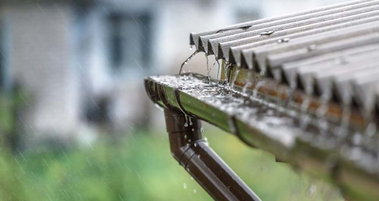 What to Do When Your Gutters Are Overflowing: Immediate Solutions for Homeowners