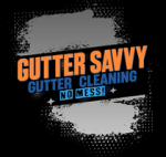 Gutter Savvy: Expert Gutter Cleaning Brisbane