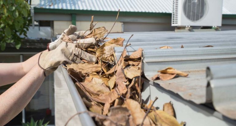 Why Affordable Gutter Cleaning in Brisbane Doesn’t Have to Mean Lower Quality