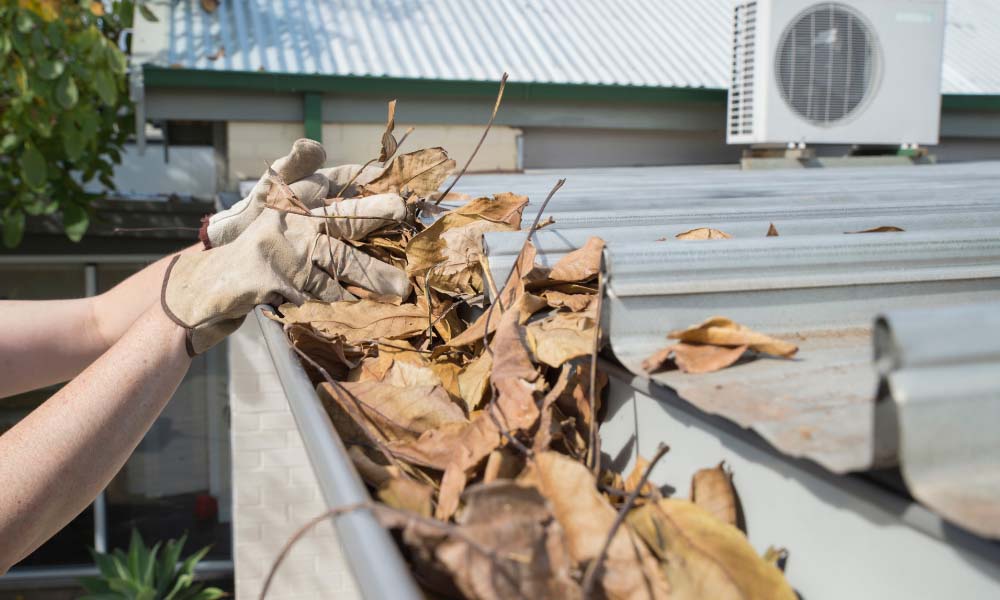 affordable gutter cleaning