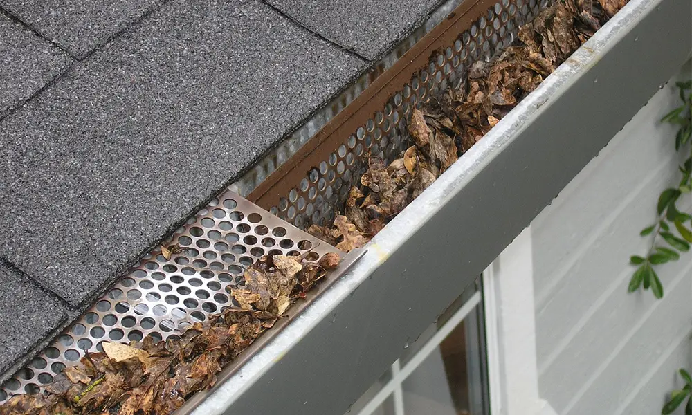 commercial gutter cleaning