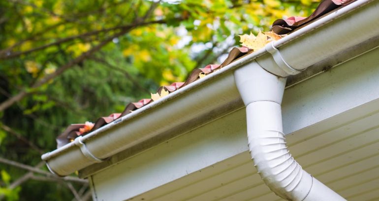 gutter and downpipe cleaning