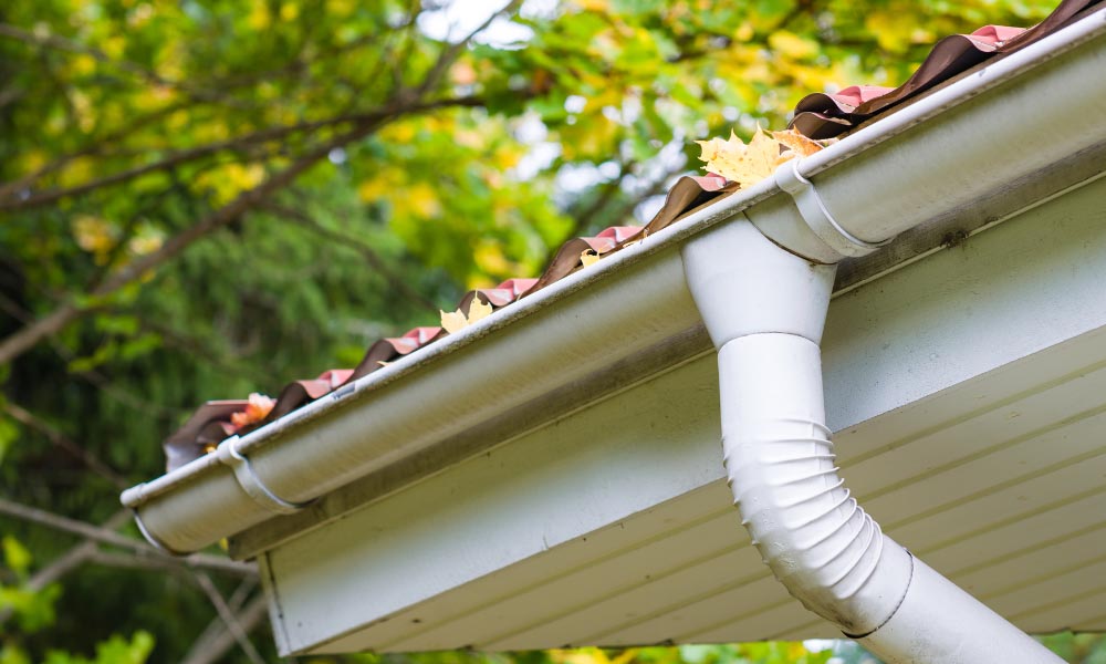 gutter and downpipe cleaning