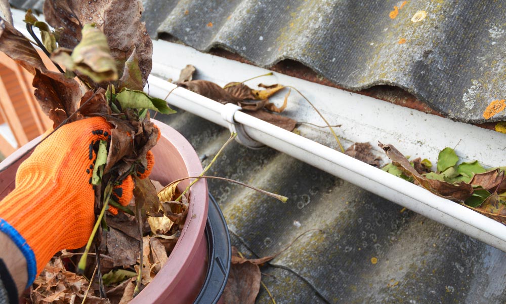 gutter cleaning Brisbane suburbs