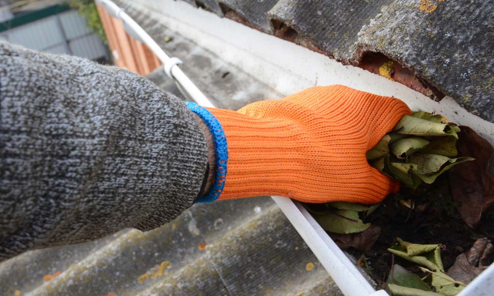 gutter cleaning quotes