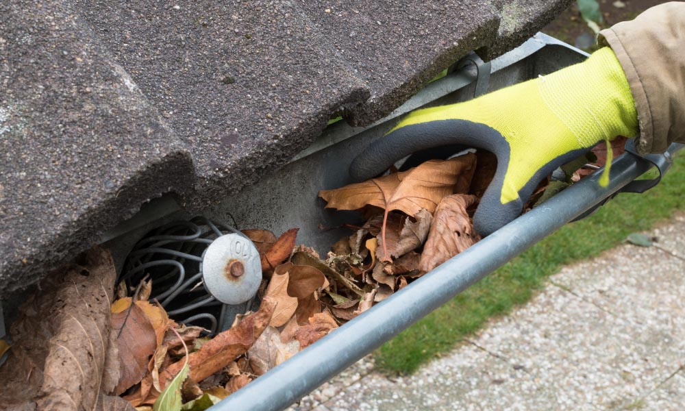 professional gutter cleaning