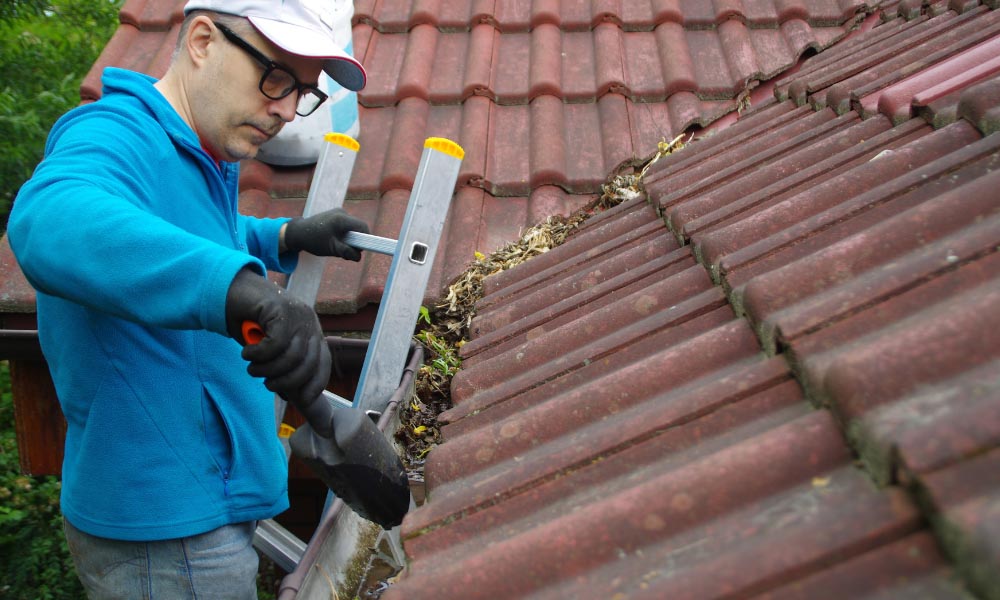 gutter-cleaning-companies-near-me