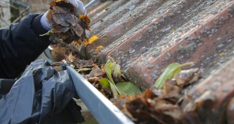 local-gutter-cleaning-Brisbane