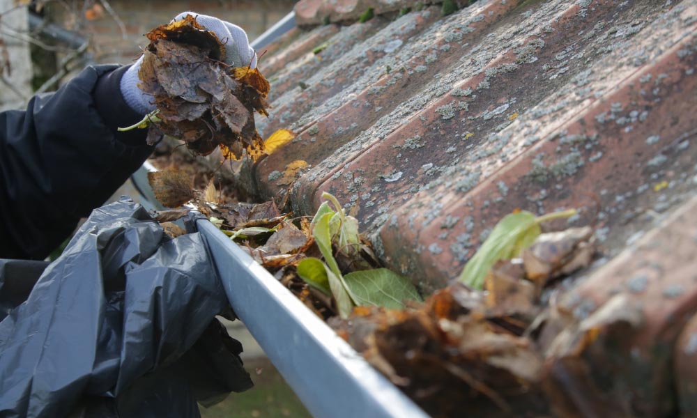 local-gutter-cleaning-Brisbane